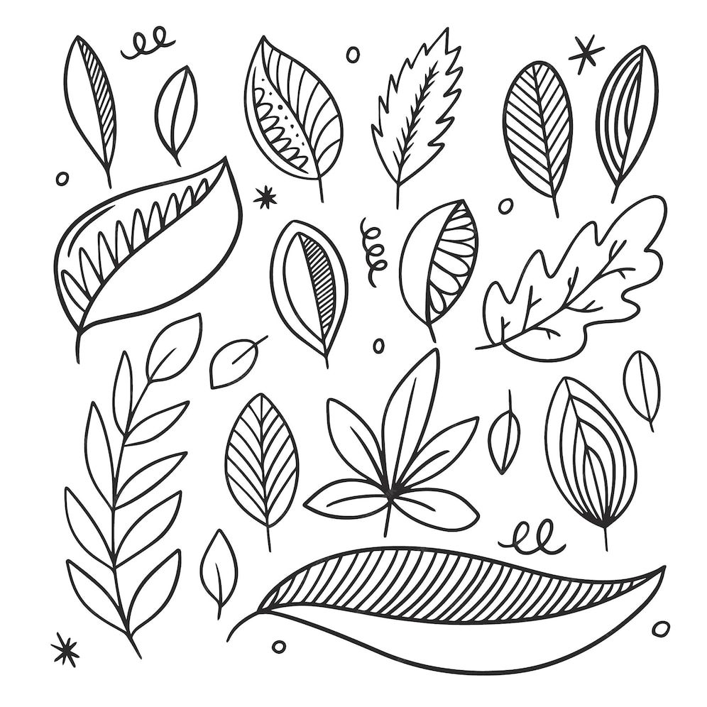 Premium Vector | Autumn leaves set black line art hand drawn sketch doodle