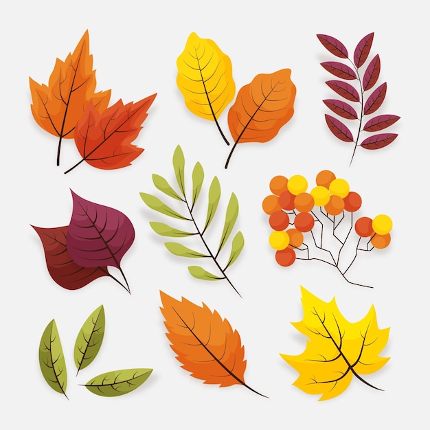 Free Vector | Autumn leaves set