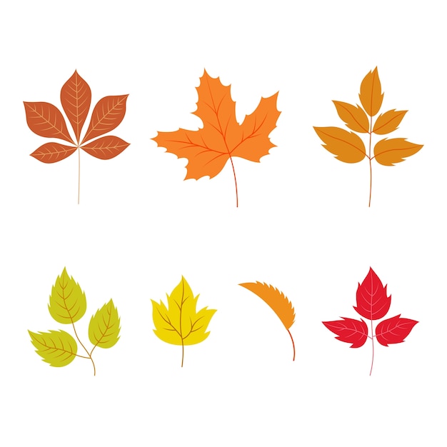 Premium Vector Autumn Leaves Set