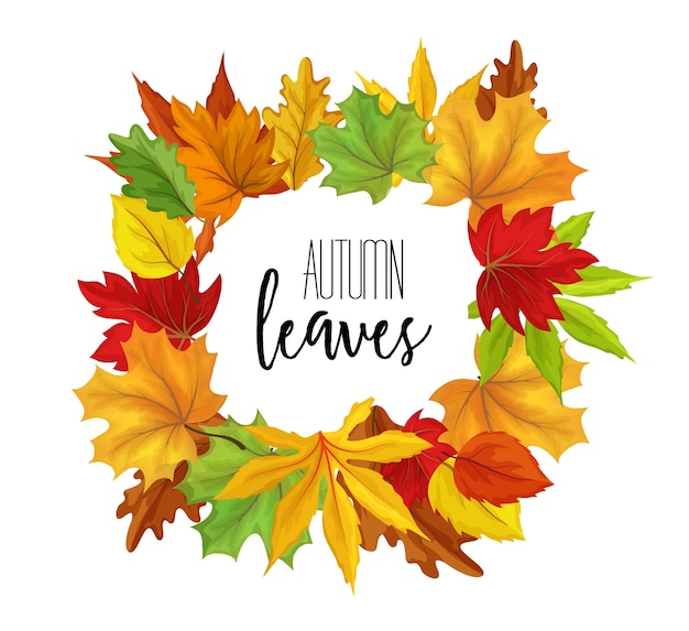 Premium Vector | Autumn leaves in square frame, maple and oak leaves ...