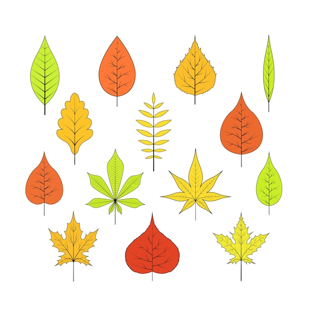 Premium Vector | Autumn leaves on a white isolated background cartoon