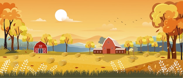 Autumn panorama landscape farm field with orange sky Premium Vector