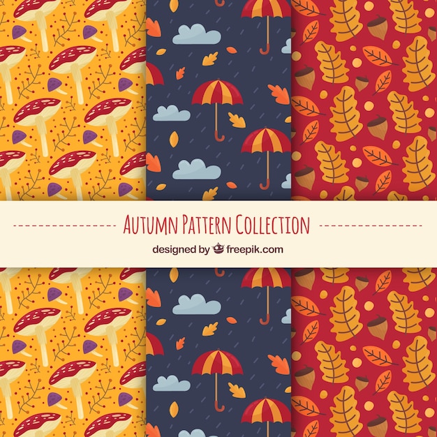 Autumn patterns collection with nature