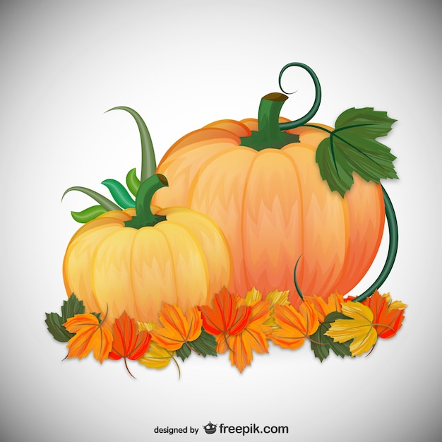 Autumn pumpkins illustration | Free Vector