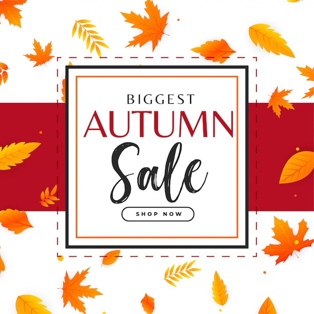 Autumn sale background with leaves
pattern