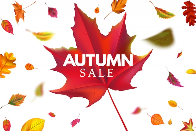 秋のセール 落ち葉 落ち葉割引 秋のチラシの背景イラストシーズン販売テンプレート プレミアムベクター