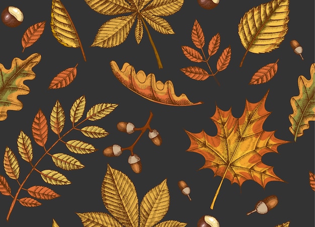手で秋のシームレスパターンは カエデ 白樺 栗 ドングリ 灰の木 黒のオークの葉を描かれています スケッチ 壁紙用 プレミアムベクター