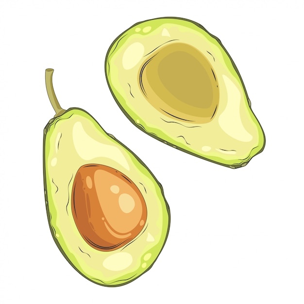 Premium Vector Avocado Fruit Cut In Half