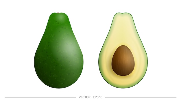 Premium Vector Avocado Set Realistic Whole And Half Avocado With Bone Isolated On A White Background