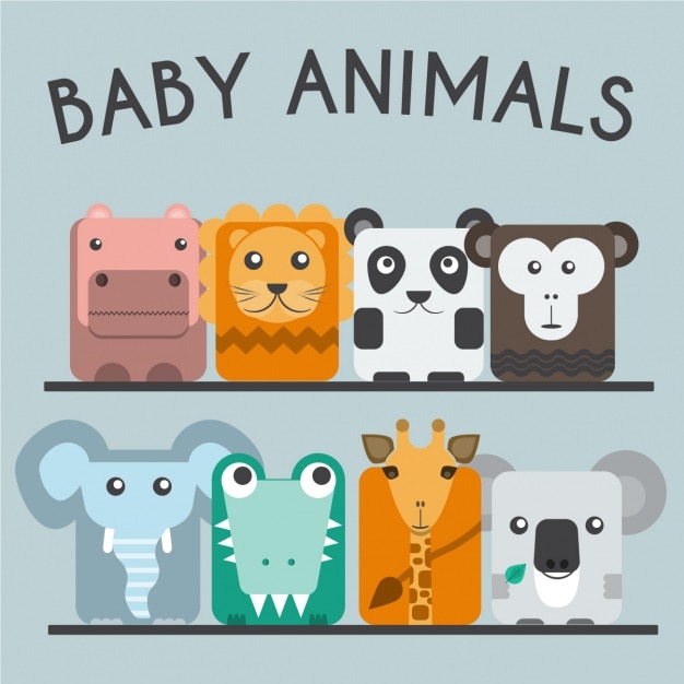 Baby animals collection