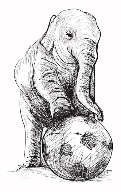 サッカーのスケッチとフリーハンド描画イラストベクトルを再生する赤ちゃん象 プレミアムベクター