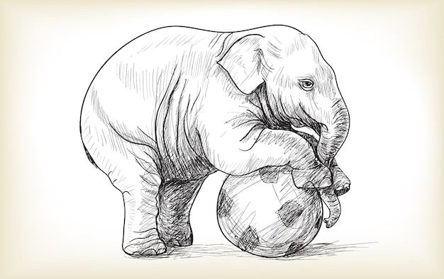 サッカーのスケッチとフリーハンド描画イラストベクトルを再生する赤ちゃん象 プレミアムベクター