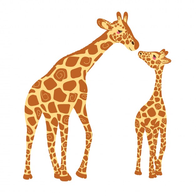 Premium Vector | Baby giraffe and adult giraffe.