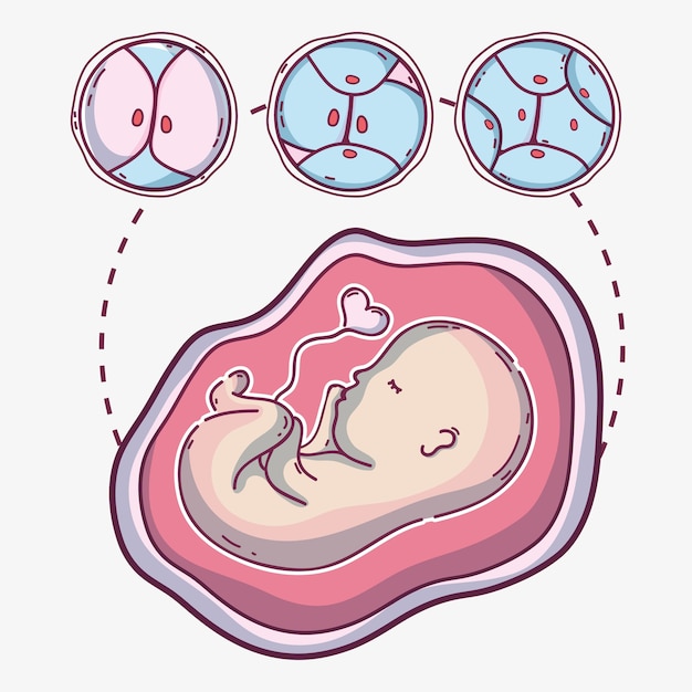 Premium Vector Baby With Umbilical Cord