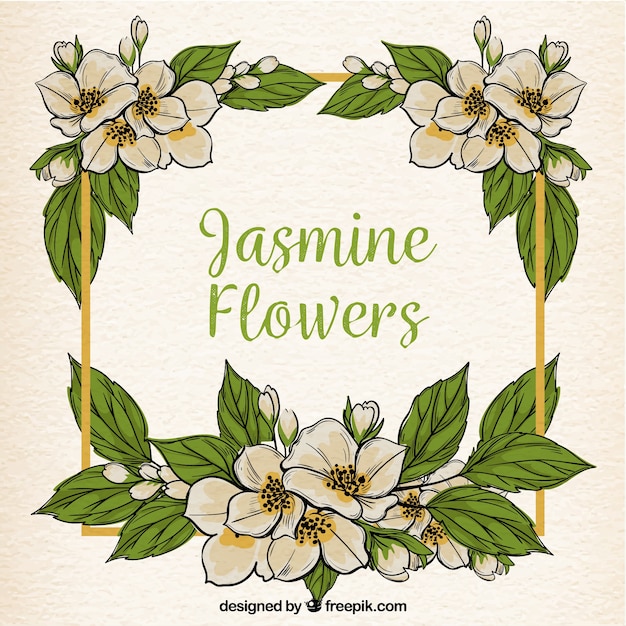 ジャスミンの花と手描きの葉の背景フレーム 無料のベクター