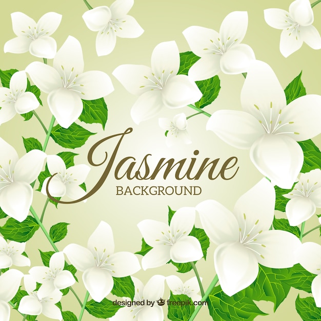 Download Background of beautiful jasmine with leaves Vector | Free ...