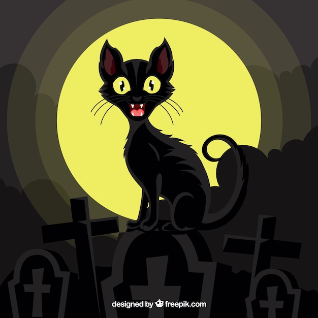 Background of black cat in the cemetery