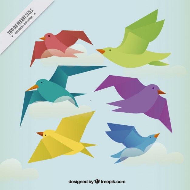 Background of colored birds in flat\
design