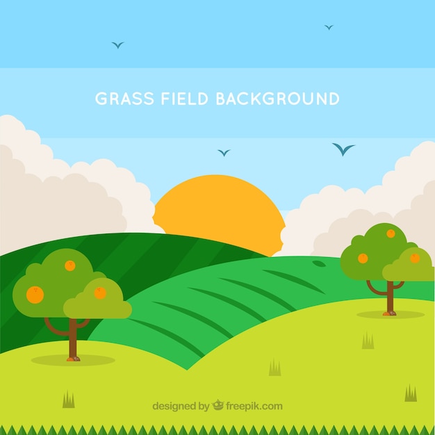 Background Of Grass Field In Green Tones Vector Free Download 9434