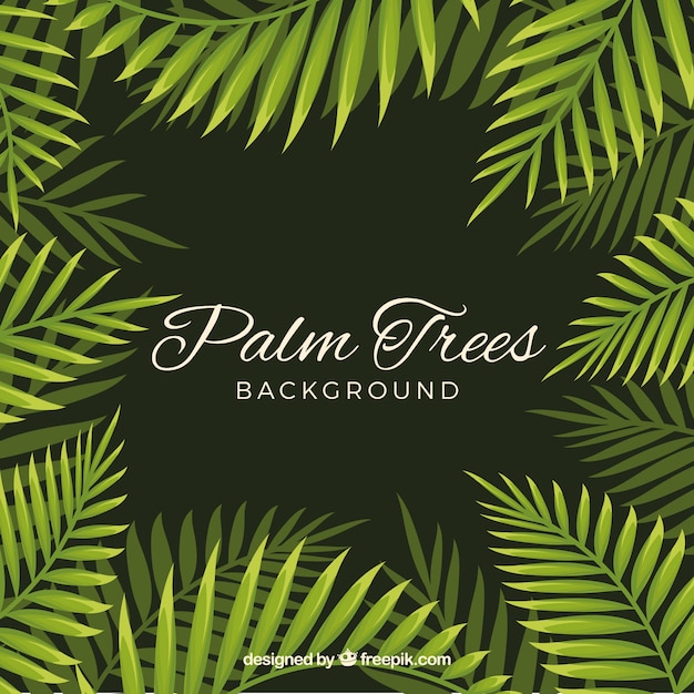 Background of palm leaves | Free Vector