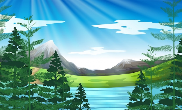 Background scene of lake and pine forest