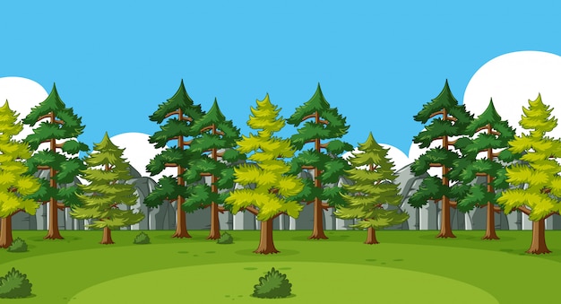 森の中の多くの松の木と背景シーン プレミアムベクター