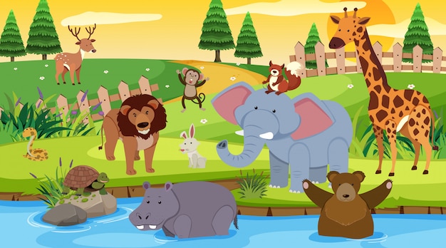 Premium Vector | Background scene with many wild animals in the park