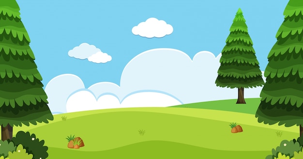 Premium Vector | Background scene with pine trees in field