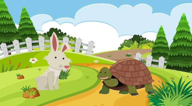 Premium Vector | Background scene with rabbit and tortoise