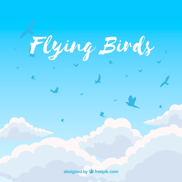 Background with birds above clouds