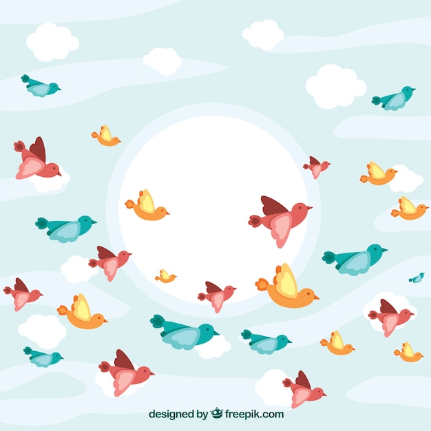 Background with birds in different
colors