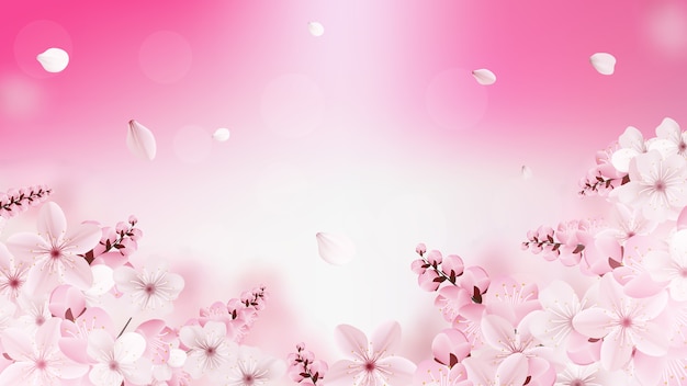 Premium Vector | Background with blossoming light pink sakura flowers