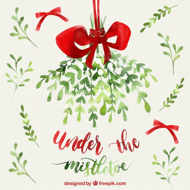 Mistletoe Images Free Vectors Stock Photos Psd