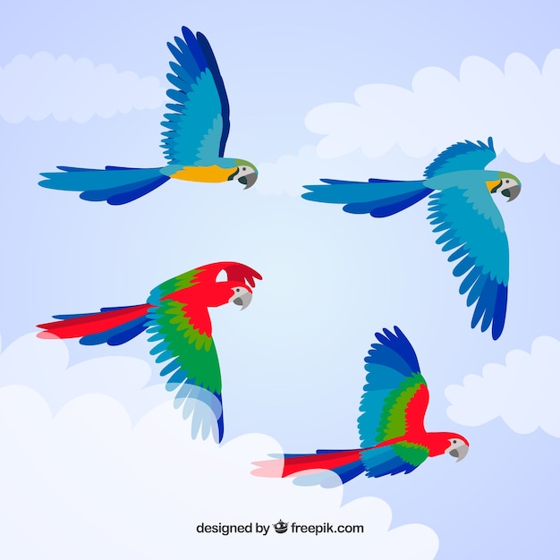 Background with colorful birds