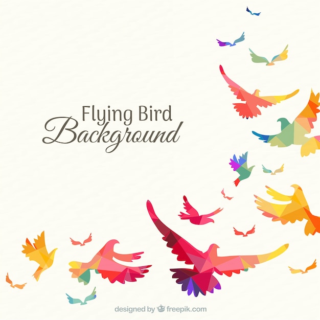 Background with colorful birds Free Vector