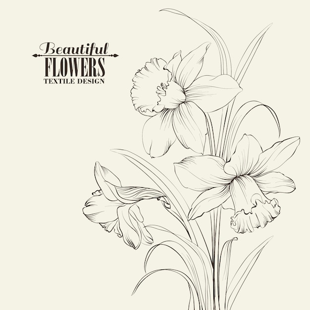 Premium Vector | Background with hand drawn flowers