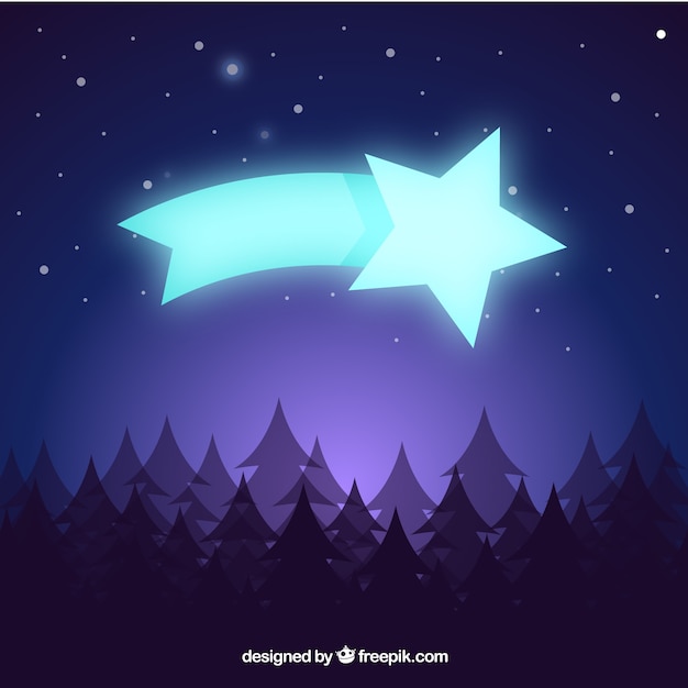 Background with landscape of pines and shooting
star