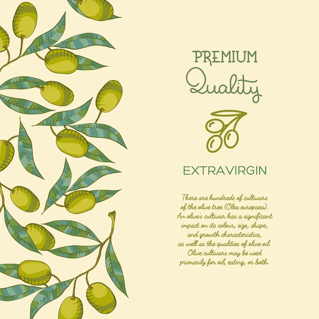 Background with olive branch and green olive Free Vector
