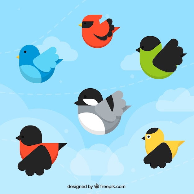 Background with six birds