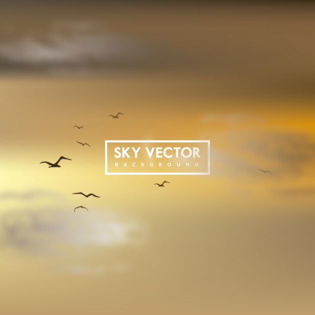 Background with sunset sky and birds