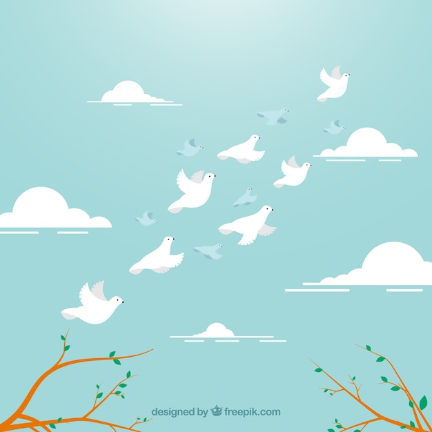 Background with white birds flying