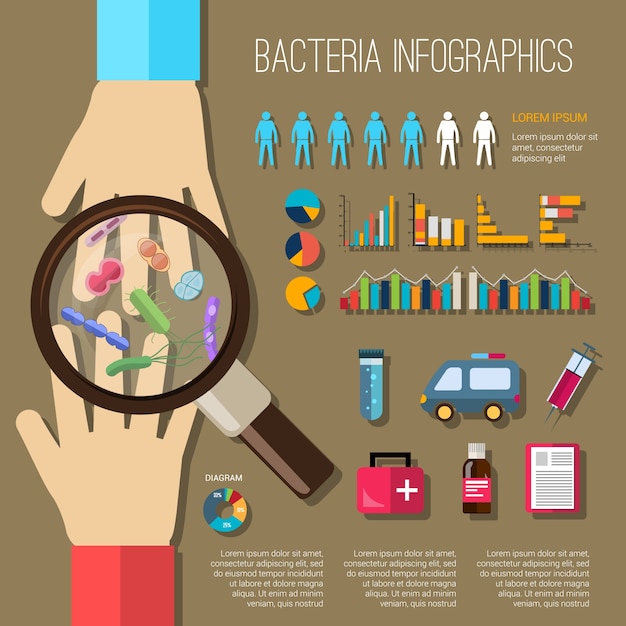 Bacteria Infographics Set
