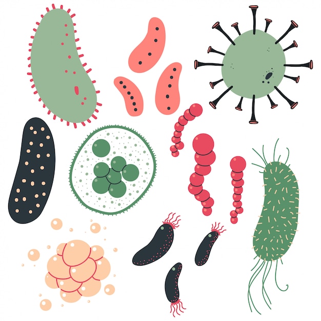 Premium Vector | Bacteria and virus set.