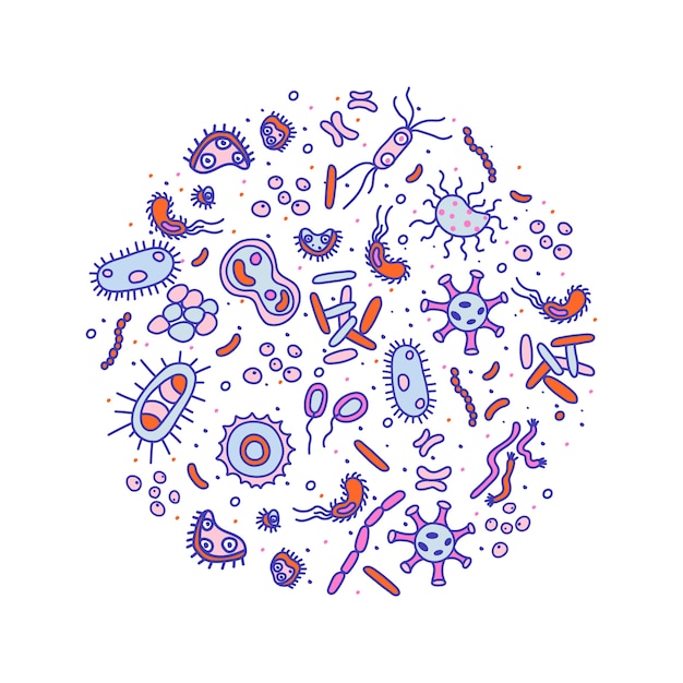 細菌 ウイルス 細菌のカラフルなイラスト さまざまな微生物 真菌 原生動物のコレクション プレミアムベクター