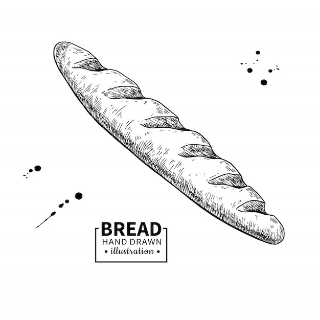 Premium Vector Baguette Bread Drawing Bakery Product Sketch