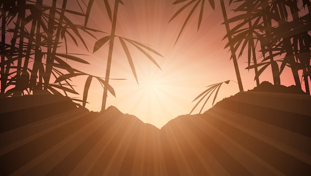 Bamboo against sunset sky