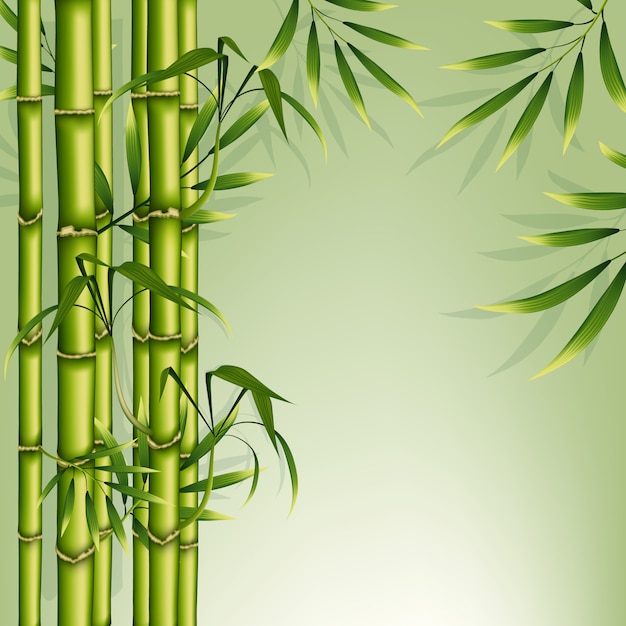 Premium Vector | Bamboo background frame