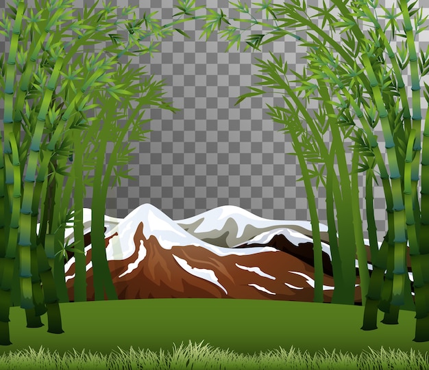 Free Vector | Bamboo forest scene with transparent background