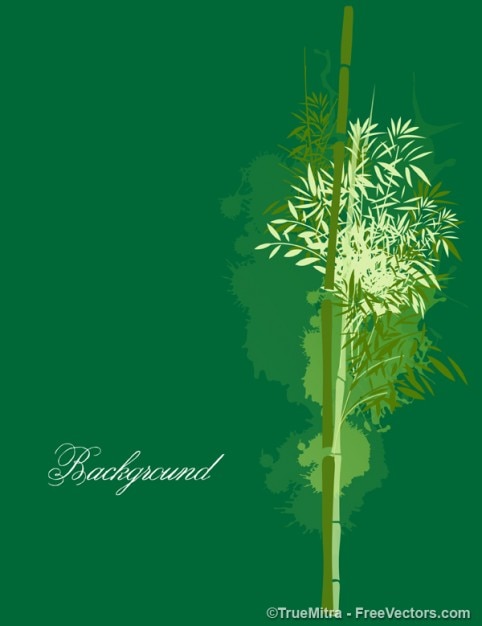 Bamboo on green background