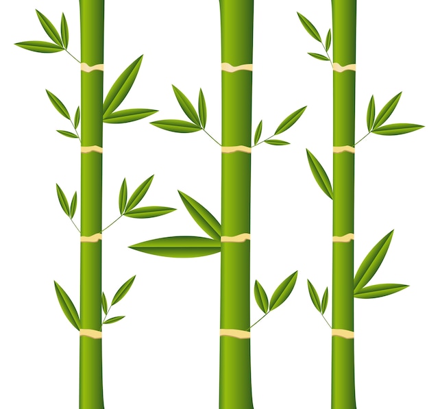 Premium Vector | Bamboo sticks